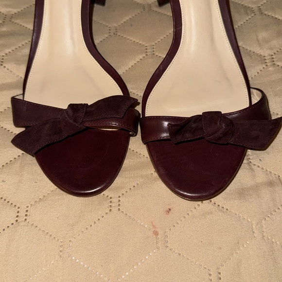 Alexandre Birman tie up sandals - Picture 7 of 7